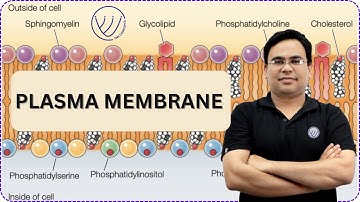 PLASMA MEMBRANE PHOSPHOLIPIDS | CELL BIOLOGY | PHOSPHOLIPIDS IN CELL MEMBRANE | NILESH SONI