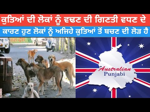 ਕੁਤਿਆਂ ਦੀ ਲੋਕਾਂ ਨੂੰ ਵਢਣ ਦੀ ਗਿਣਤੀ ਵਧਣ ਦੇ ਕਾਰਣ ਹੁਣ ਲੋਕਾਂ ਨੂੰ ਅਜਿਹੇ ਕੁਤਿਆਂ ਤੋਂ ਬਚਣ ਦੀ @qaumimasley1832