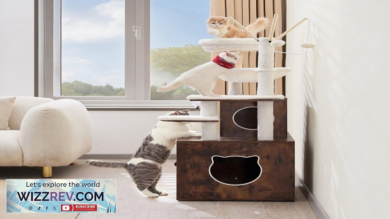 54.33" Large Cat Tree Litter Box Enclosure 2-in-1 Cat Tower Indoor Play Review
