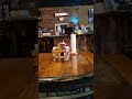 2022 RC Vlog EP04: Lunch at Leiper's Fork, Fox &amp; Locke Eatery, Franklin, TN, 12/21/2022