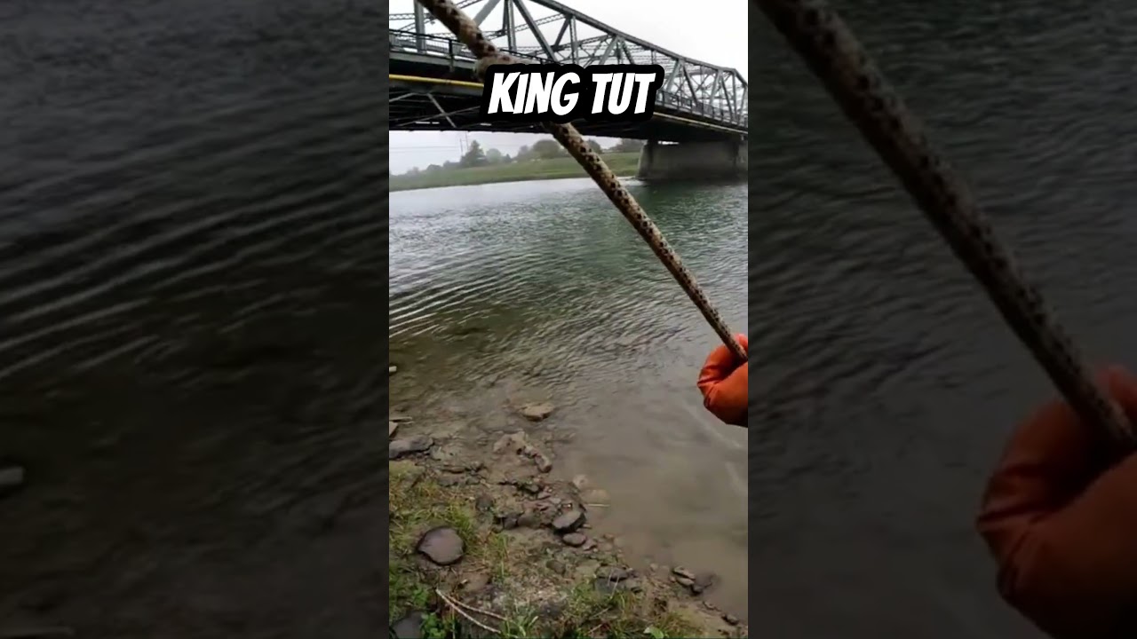 SAY WHAT! Did I Just Find King Tut’s Staff Magnet Fishing in Corning, NY?! & Bonus Song! 