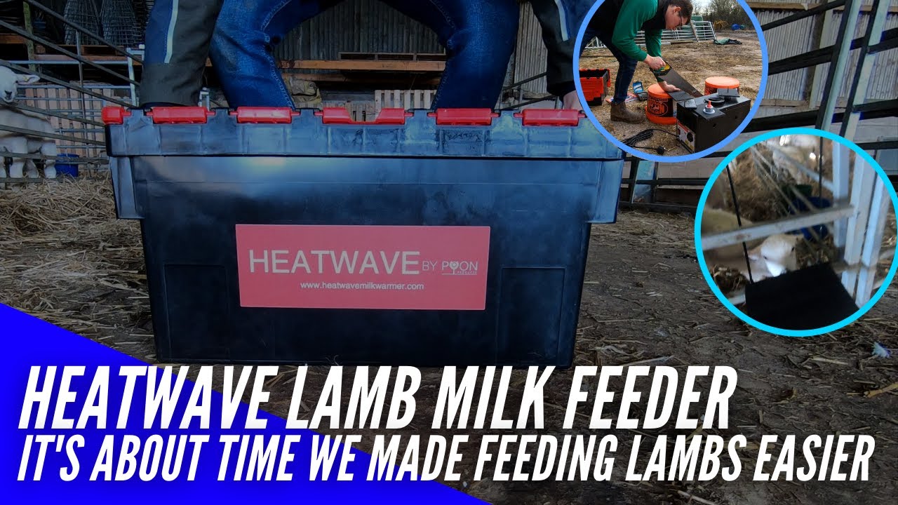 HEATWAVE MILK FEEDER ABOUT TIME WE MADE FEEDING LAMBS EASIER YouTube