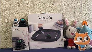 Elinor and Friends Unboxing Vector Space By Anki Episode 545
