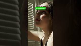 PET (АНТИМОШКА) - защита от самых мелких насекомых, высокая термостойкость, самоочищающаяся