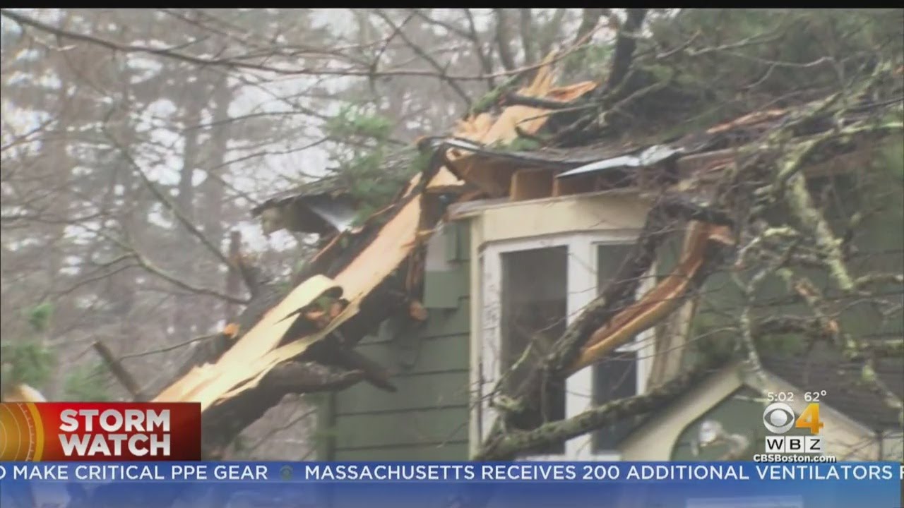 Strong Winds Bring Down Trees, Wires Across Mass. - YouTube