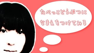 【アンゴラ村長】たべっこどうぶつになまえをつけてみる アンゴラ村長 検索動画12 【アンゴラ村長】たべっこどうぶつになまえをつけてみる アンゴラ村長 検索動画 12