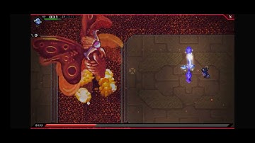 Boss Fight Moth Cross Code