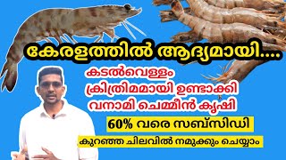 കടൽവെള്ളം ക്രിത്രിമമായി ഉണ്ടാക്കി വനാമി ചെമ്മീൻ കൃഷി | Biofloc farming malayalam