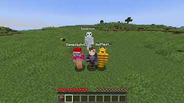 WASD Patron Server updated to 1.18!!! With all my datapacks!