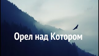 Красивый полет орла над Котором