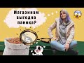 МАГАЗИНАМ ВЫГОДНА ПАНИКА? / репортаж со склада + интервью с представителем X5 Retail Group