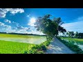 🌿 গ্রামের শান্ত সৌন্দর্য 😍 | Nature Cinematic View 🌤️✨