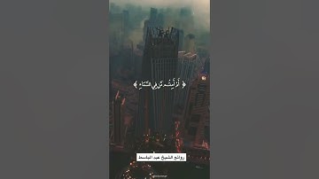 أفضل تلاوة 🌺الحنجرة الذهبية