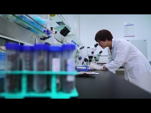 Ученым удалось удалить ВИЧ из клеток человека