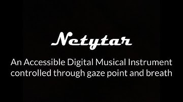 Netytar - an Accessible Digital Musical Instrument