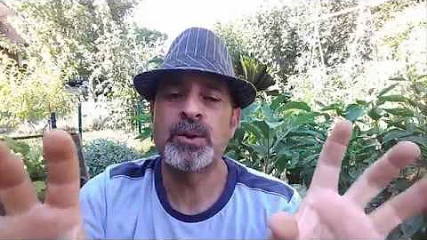 Cosa si coltiva nell'agricoltura biologica?