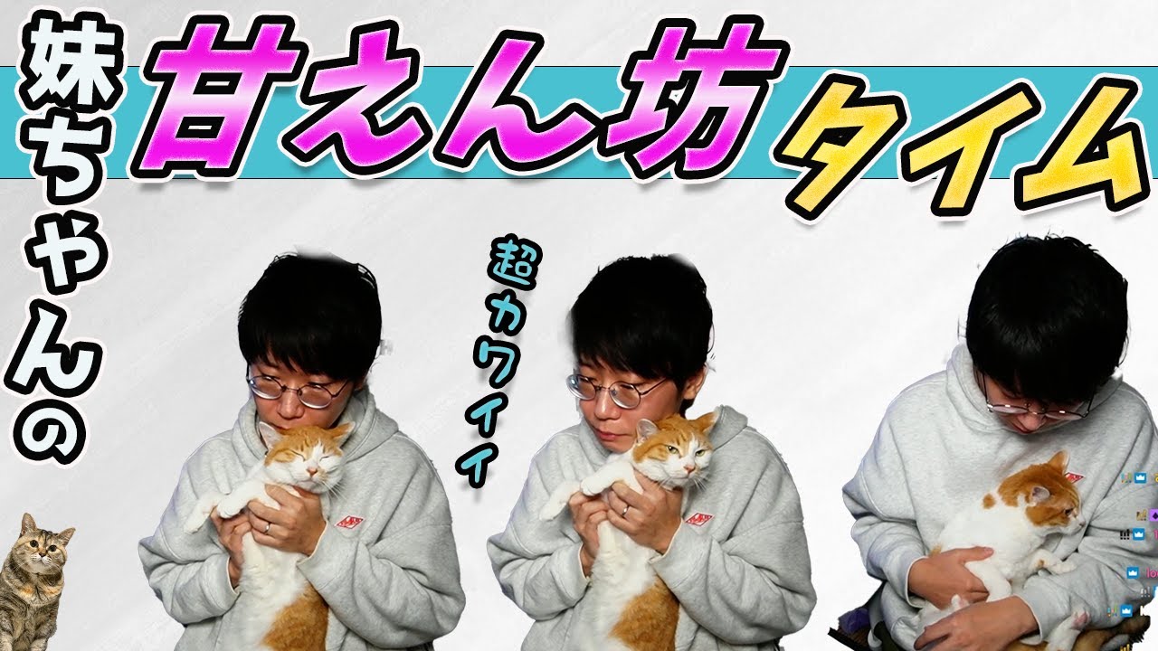 愛猫のモフモフを堪能しちゃうドンさん【三人称切り抜き】