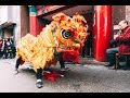 New York Choy Lay Fut Lion Dance - Chinese New Year 2019 Introduction (FULL)