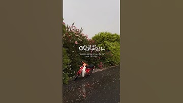 سورة النصر | القارئ خالد الجليل