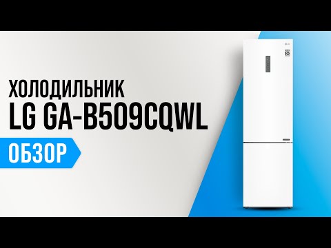 LG GA-B509CQWL: двухкамерный холодильник с No Frost 💥 Обзор + Мнение специалистов