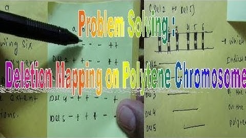 Problem solving:Deletion mapping on Polytene Chromosomes/Inheritence Biology