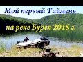 Мой первый Таймень на реке Бурея 2015 FISHINGALTSEV