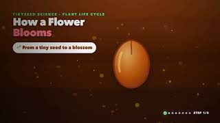 The Secret Life of Flowers: How Seeds Wake Up and Bloom!