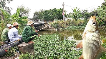 Địa Điểm Câu Cá Chép Sông Tự Nhiên Mới, Có Rất Nhiều Cá Chép | Câu Cá Vui