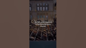 واستعينوا بالصبر والصلاة #ادعم_الفيديو_بلايك_والقناه_بالإشتراك حالات واتس اسلاميه قران كريم