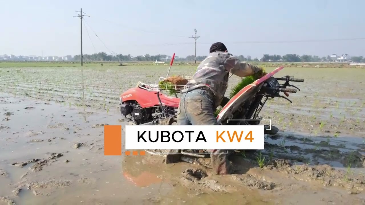 MÁY CẤY KUBOTA KA6P & KW4