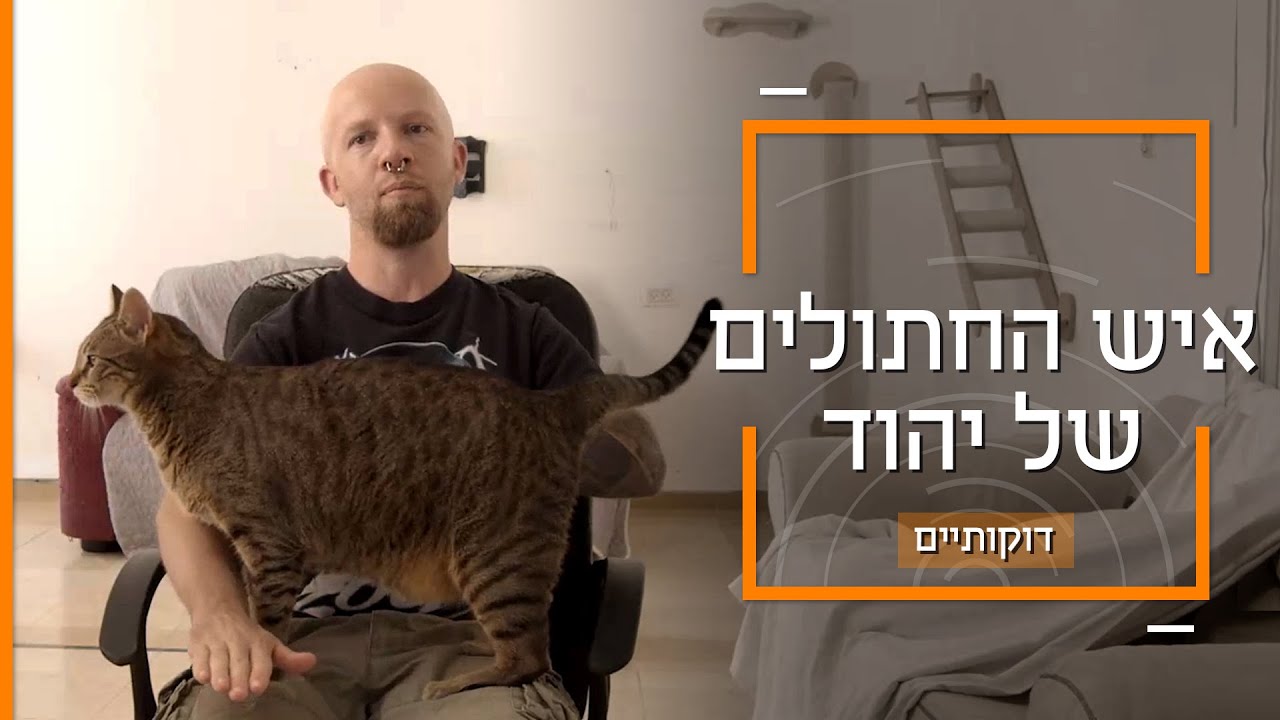 ''חתולאי בדם'': יונתן מטפל בכל החתולים של יהוד | דוקותיים