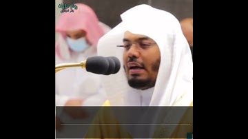 "لا يذوقون فيها الموت"ترتيل خاشع ومبكي أ.د. ياسر الدوسري | سورة الدخان
