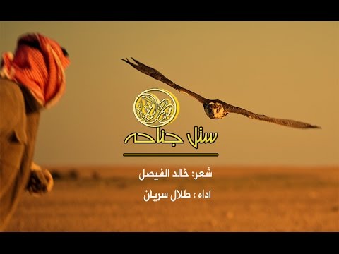 شيلة ستل جناحه ثم حام || كلمات خالد الفيصل || الحان محمد عبده II اداء طلال سريان
