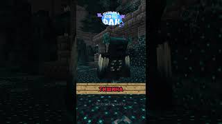 РАНИТЕЛЬ БОЛЬШЕ НЕ ПОЯВИТСЯ 😱#minecraft #minecraftguide #minecraftbeauty
