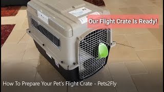 How To Prepare Your Pet's Flight Crate  Pets2Fly  Pet Travel