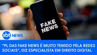 Video pl-das-fake-news-e-muito-temido-pela-redes-sociais-diz-especialista-em-direito-digital