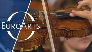 Video thumbnail of "Beethoven - Romance for Violin and Orchestra No. 2 in F major, Op. 50 (Kurt Masur & Renaud Capuçon)"