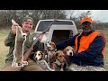 Rabbit Hunting With DOGS! {Catch Clean Cook} Fried Rabbit