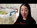 Middle of video