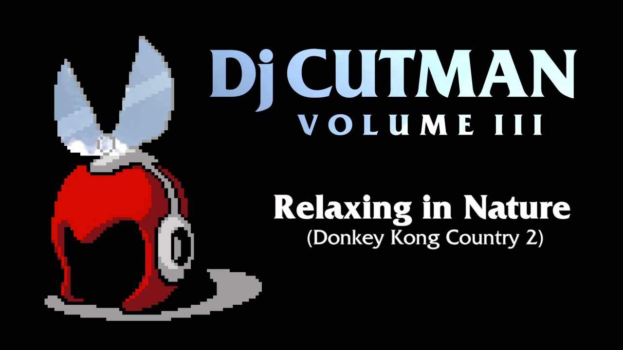 Dj CUTMAN - Relaxing in Nature (Donkey Kong Country 2 Remix