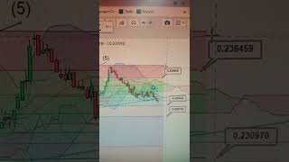 Dogeusdt- Doge coin - Pakistan Stock Exchange Psx. expected Price.how to earn from trading.