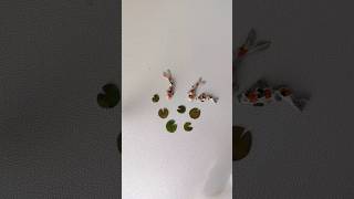 Famous Miniature koi fishes|diy clay art| fish pond Profile