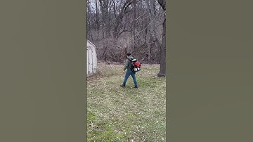 Echo PB-9010 #subscribe #watch #fyp #fypシ #shortsvideo #shorts #landscape #satisfying #youtuber