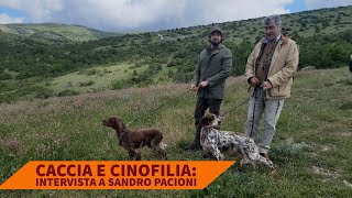 Un confronto con il giudice ENCI Sandro Pacioni