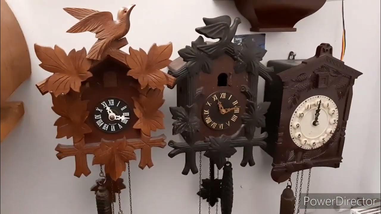 Three 1 day cuckoo clocks YouTube