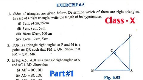 CBSE class 10th CHAPTER 6 TRIANGLES exercise 6.5 NCERT solution | Hindi | Part 1