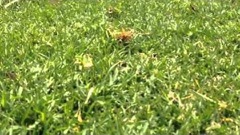 Earthquake Decompaction