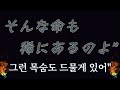 시바타 쥰 - 마녀의 사정│柴田淳「魔女の話」