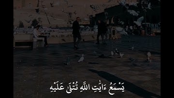 سعد الغامدي سورة الجاثية  وَيْلٌ لِّكُلِّ أَفَّاكٍ أَثِيمٍ