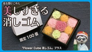 限定100個! 花を閉じこめた美しすぎる消しゴム「Flower Cube 消しゴム」プラス【文具王の文房具解説】#473【文具のとびら】